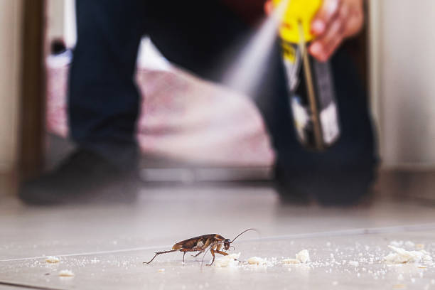 Best Pest Control for Businesses  in Westwood, KY